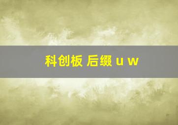 科创板 后缀 u w